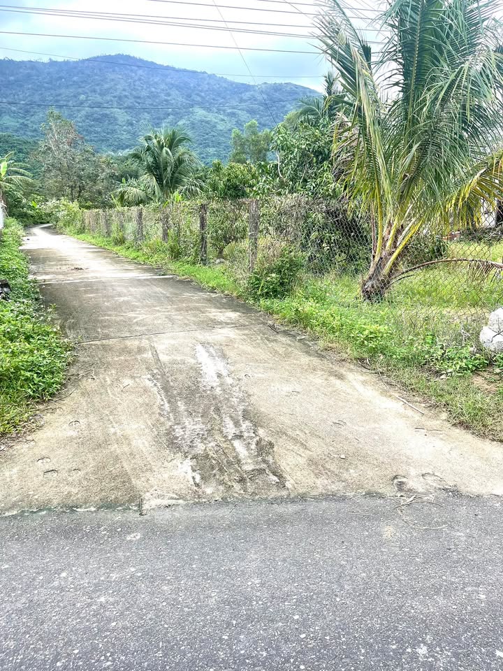 Đất Farm 1.8ha tại Xã Vạn Hưng, Khánh Hòa - Giá chỉ 2.7 tỷ, Mặt tiền rộng rãi!