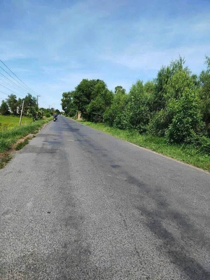 Đất mặt tiền Tỉnh Lộ 8 Ngàn, Xã Bình Sơn, 415m² giá thỏa thuận - Cơ hội đầu tư hấp dẫn!