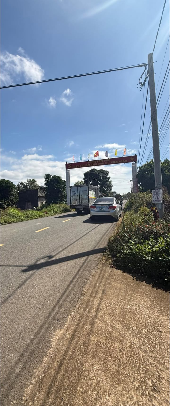 Lô đất 700m² tại Đường DH.03, Tân Thành, Đức Trọng chỉ 3.3 tỷ - Đầu tư sinh lời ngay!