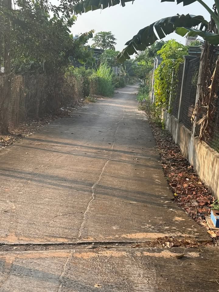 Đất nền xã Bông Trang, Huyện Xuyên Mộc, 483m² giá 2 tỷ - Đầu tư sinh lời ngay!