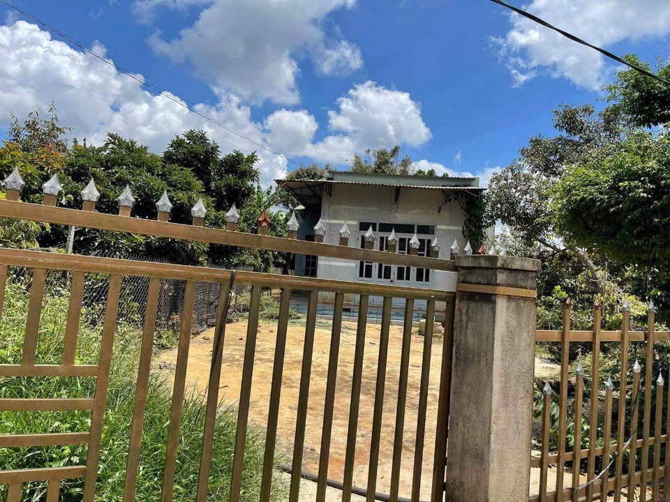 Đất nền Phường Tân Tạo, Quận Bình Tân 270m² - Cơ hội vàng cho nhà đầu tư!