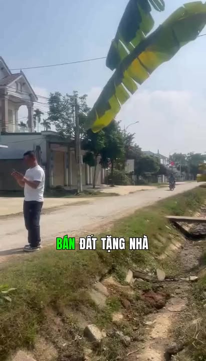 Đất thổ cư 264m² tại Thị trấn Diễn Thành - Giá cả thỏa thuận, cơ hội đầu tư hấp dẫn!