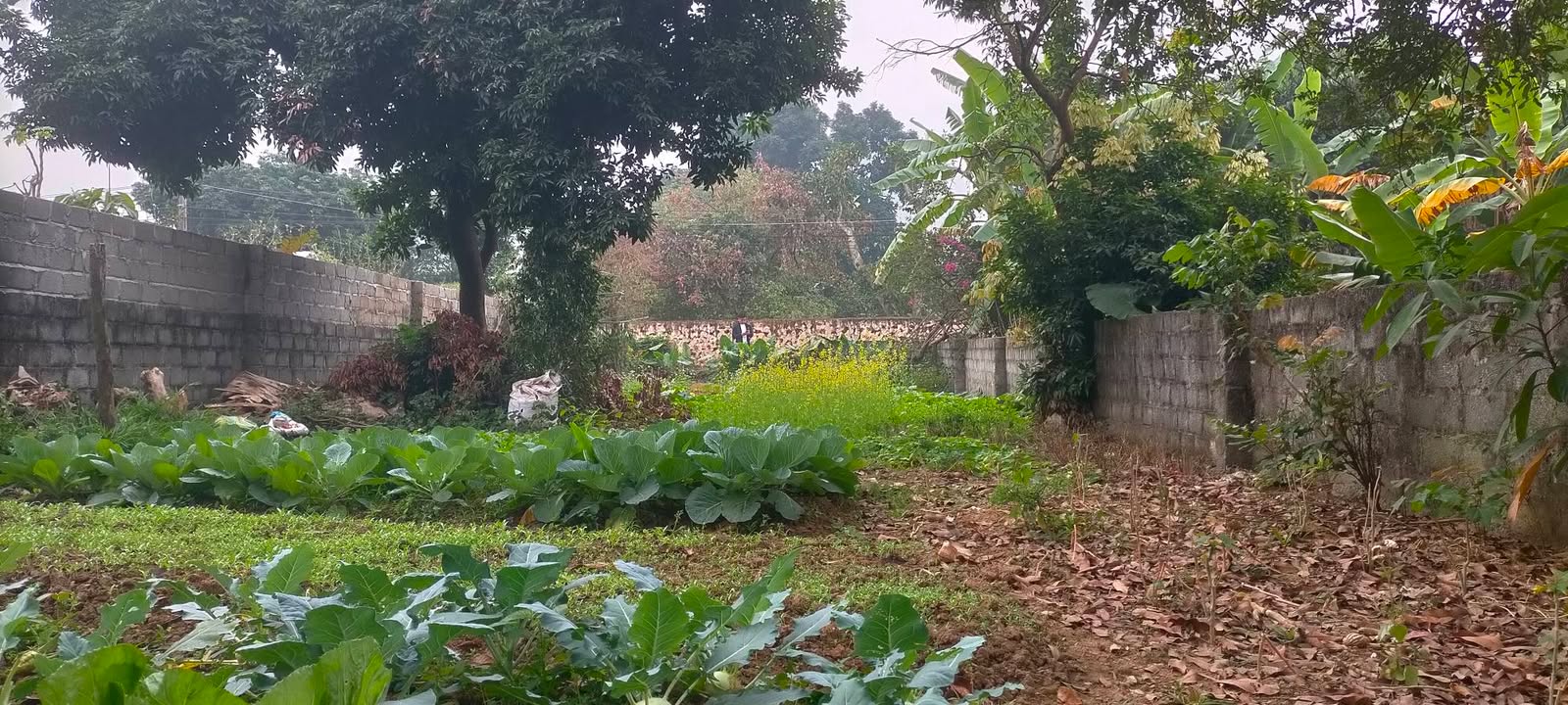 Đất Nền Nhuận Trạch 383m² giá 2.2 tỷ - Cơ hội đầu tư hiếm có!