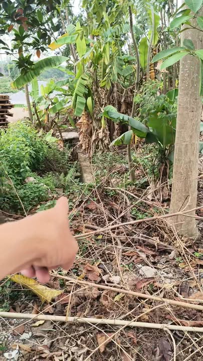 Đất nền Dương Đức, Lạng Giang 100m² - Cơ hội đầu tư hấp dẫn!