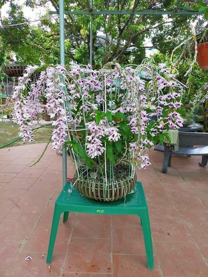 Đất nền Huyện Đồng Phú 200m² giá 1 tỷ - Cơ hội đầu tư tuyệt vời!