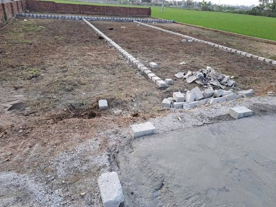 Đất nền tại Cao Minh, Vĩnh Bảo 100m² giá chỉ 500 triệu - Sổ đỏ chính chủ!