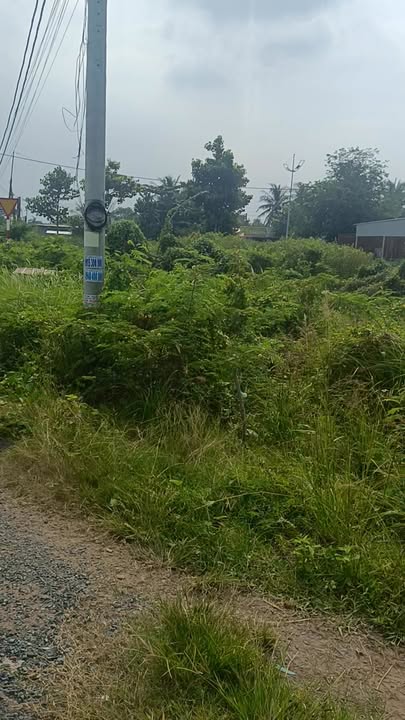 Đất thổ cư 200m² mặt tiền lộ nhựa 3m tại Phường Duyên Hải - Cơ hội đầu tư hấp dẫn!