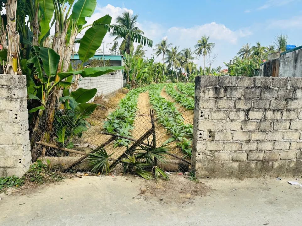 Đất nền Hoằng Lộc, Hoằng Hóa 117m² giá 300 triệu - Sổ đỏ chính chủ, đầu tư sinh lời!