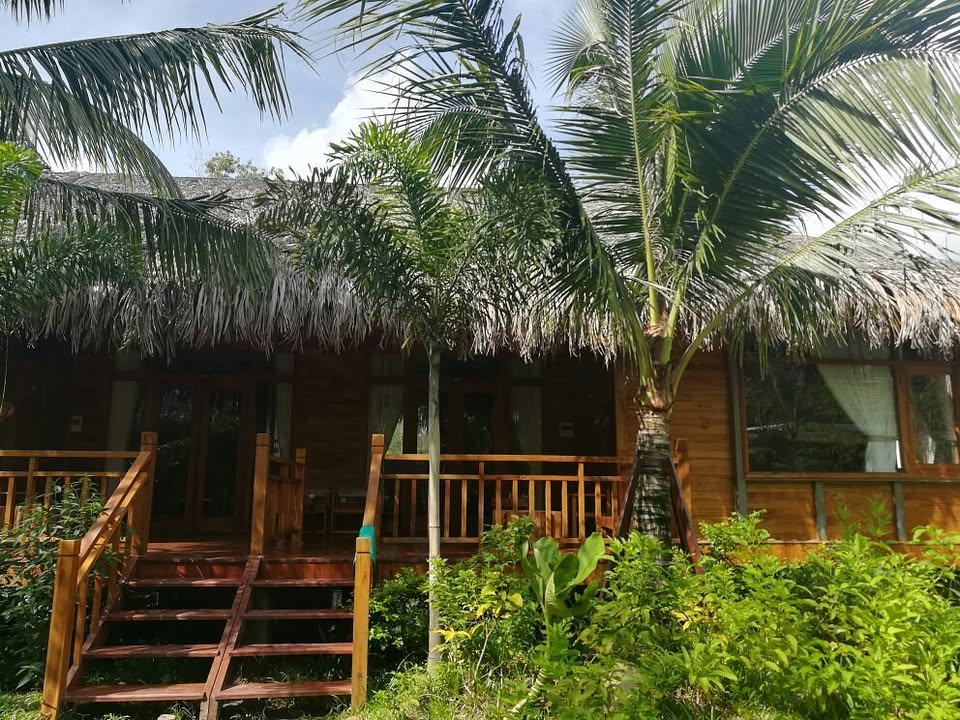 Farm nghỉ dưỡng Ông Lang 1890m² giá 1x tỷ - Dòng tiền khai thác ngay!