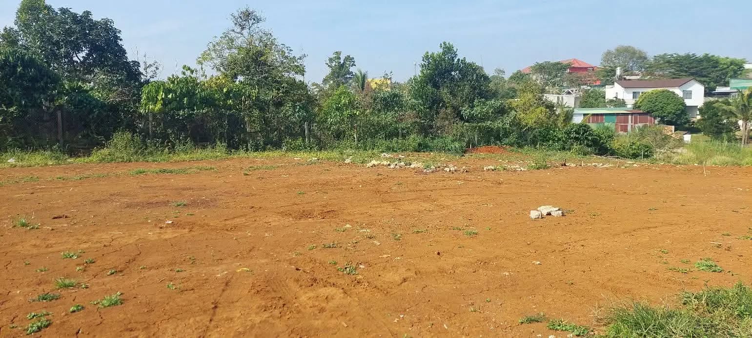 Đất nền biệt thự hẻm 105 Nguyễn Du, Bảo Lộc 220m² - Giá tốt thương lượng!