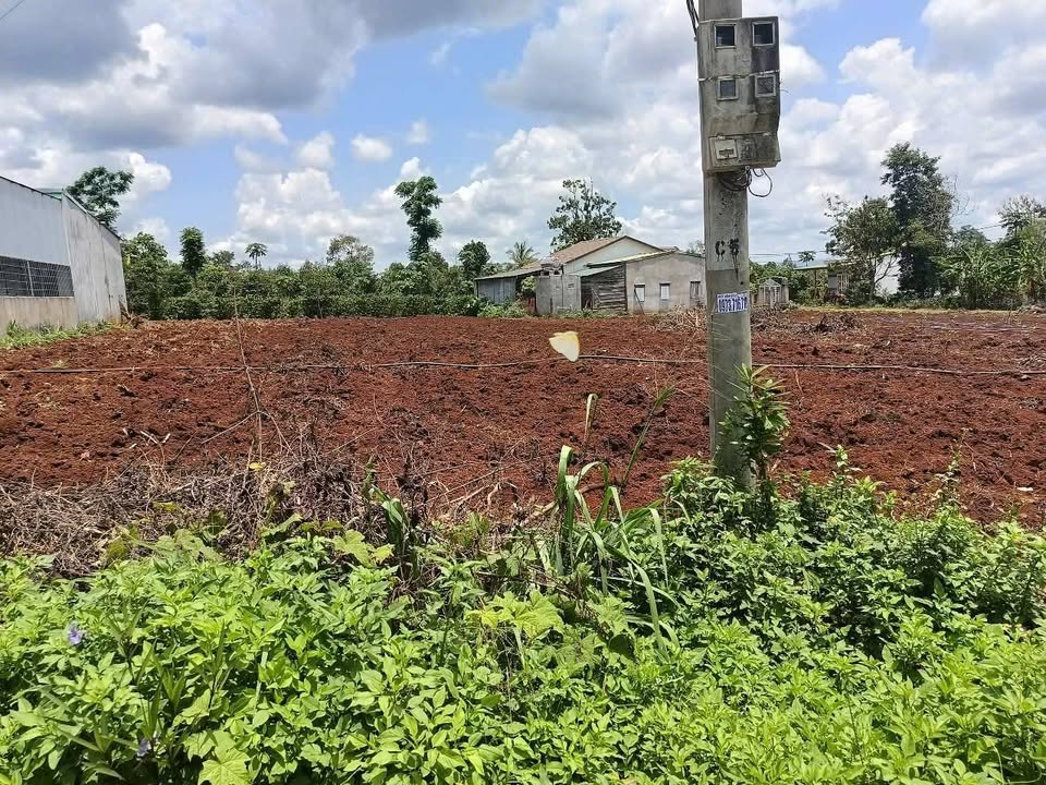 Mặt tiền FrontHouse Cam Rưng Huyện M'Đrăk diện tích 1276m² - Cơ hội đầu tư tuyệt vời!