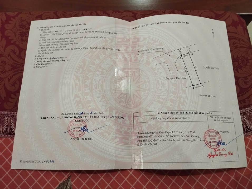 Đất nền TDP Đồng Quang, An Hải, 61m² giá 1.4 tỷ - Vị trí đắc địa, ô tô đỗ cửa!