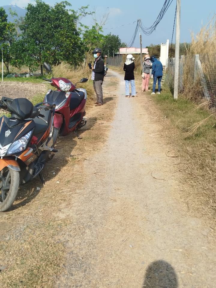 Nhà ở Phường Ninh Thạnh, Tây Ninh 336m² giá 560 triệu - Sẵn sàng vào ở ngay!