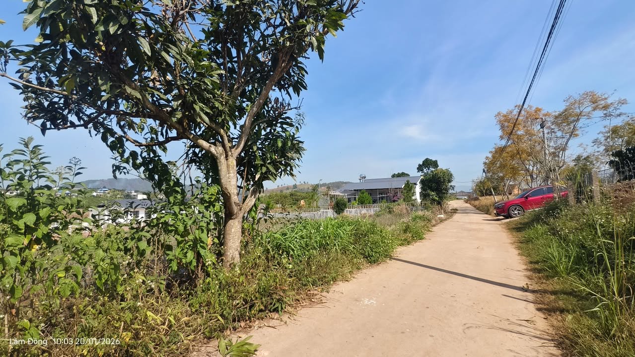 Đất nền Gia Lâm 18800m² giá 1.5 tỷ - Cơ hội đầu tư sinh lời!