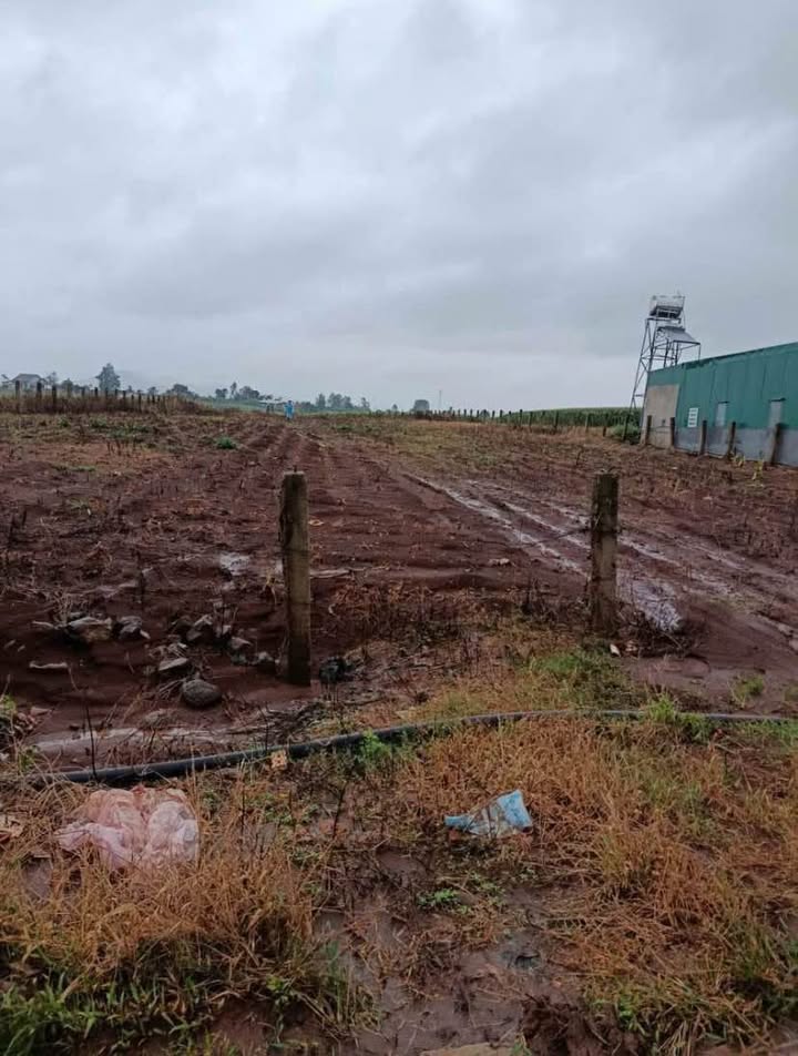 Đất thổ cư Tân Hội 13320m² giá 3.1 tỷ - Cơ hội đầu tư tuyệt vời!