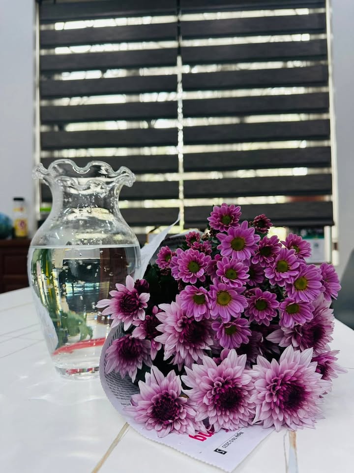 Đất nền Tân Hoa, Lục Ngạn, Bắc Giang 500m² giá 398 triệu - Cơ hội đầu tư hấp dẫn!