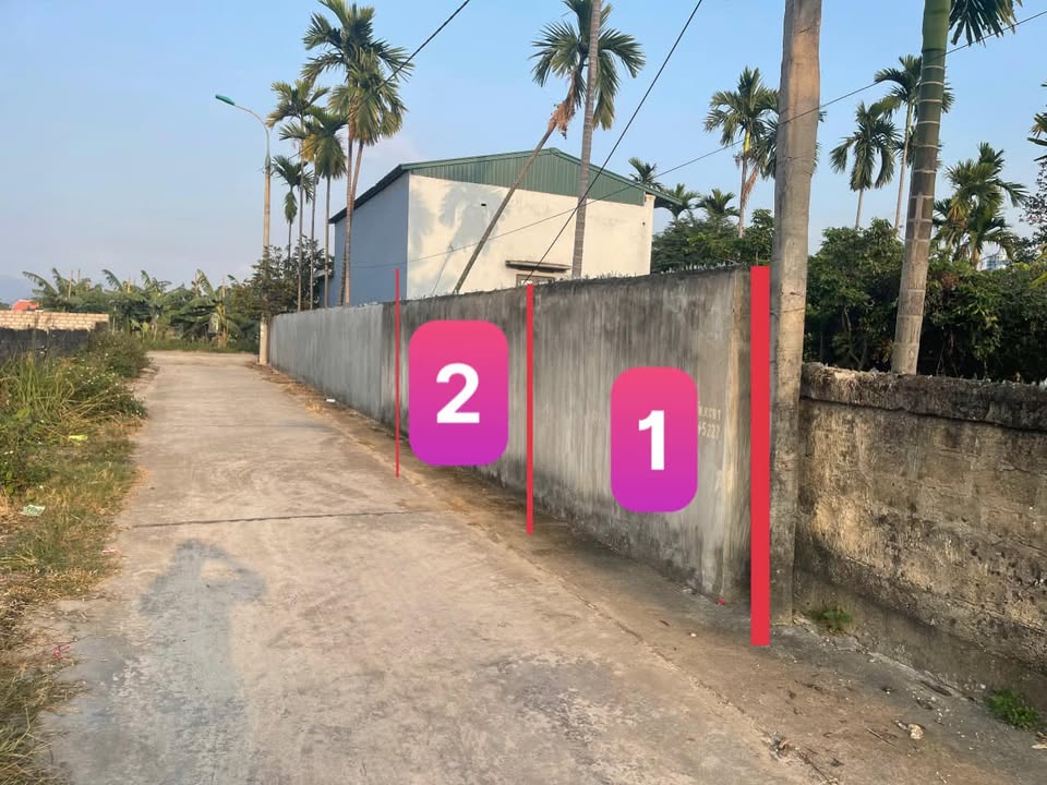 Đất nền Tràng Bảng 131m² giá thỏa thuận - Đầu tư an toàn ngay hôm nay!