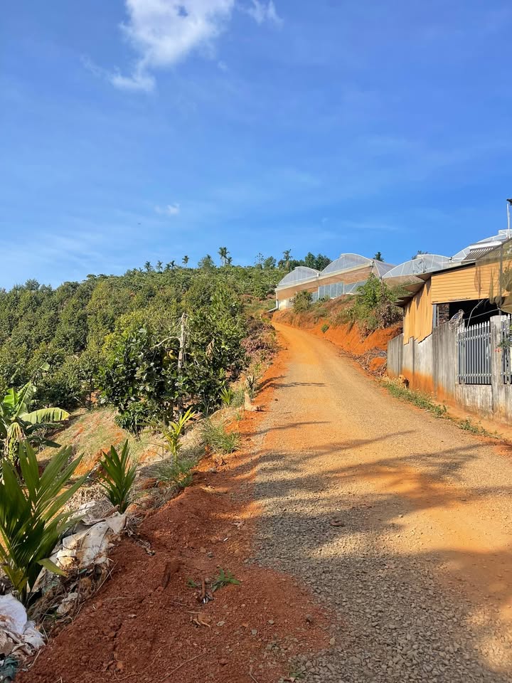 Đất nền thổ cư 100% tại Phường Nghĩa Đức, 836m² giá chỉ 1 tỷ - Cơ hội đầu tư hiếm có!