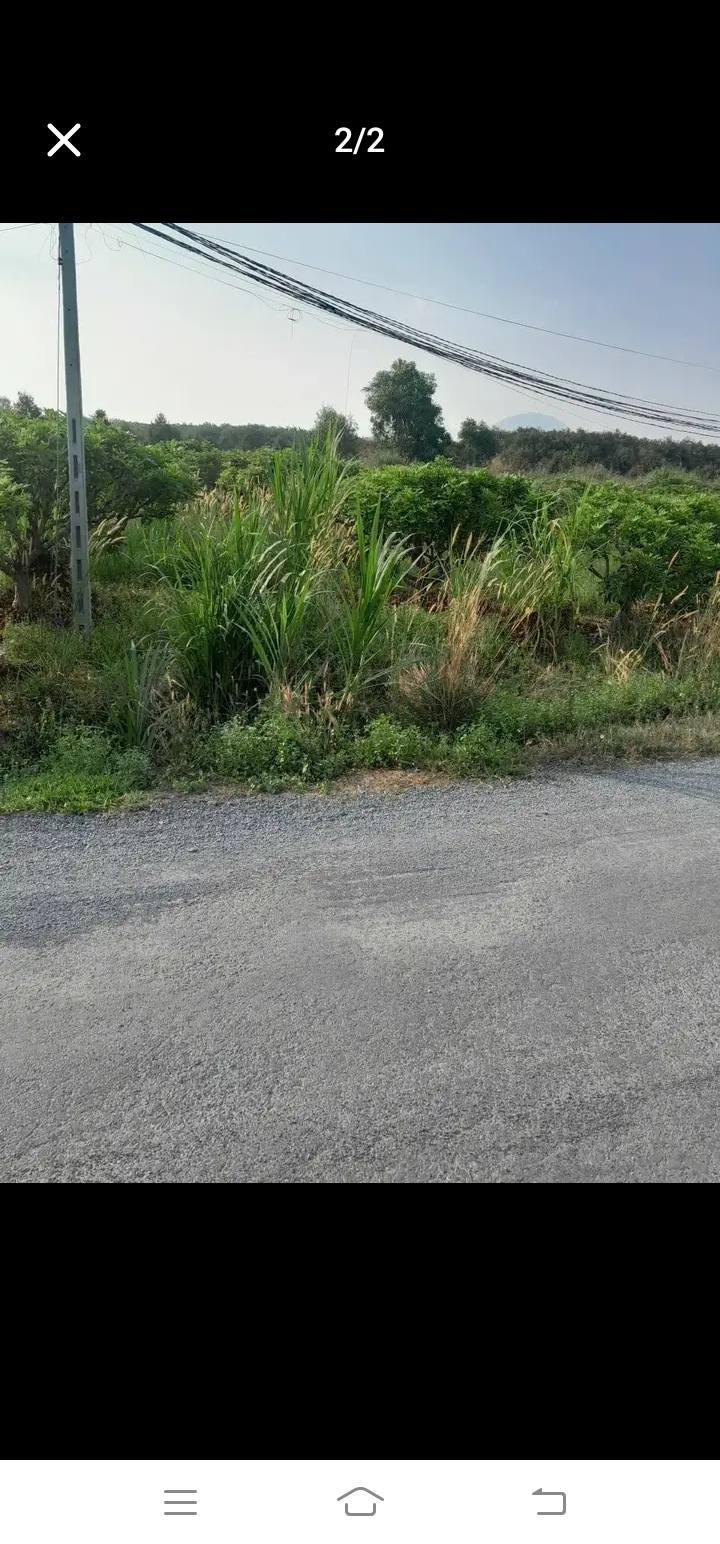 Đất nền 1400m² Trường Hòa, Hòa Thành, Tây Ninh - Cần bán gấp chỉ 600 triệu!