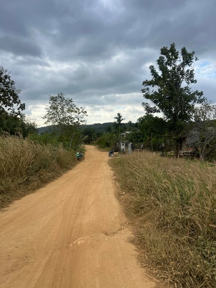 Đất nền 1000m² xã Ea Pô, huyện Cư Jút - Giá 25 tỷ VND - Đường chuẩn bị lên bê tông!