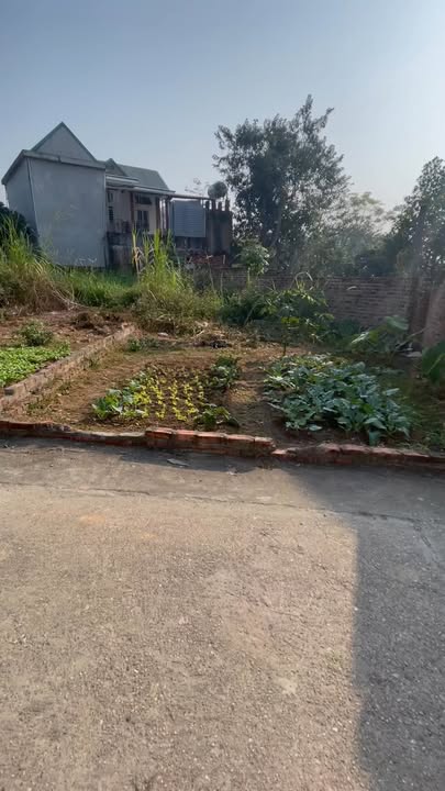 Đất thổ cư 60m² Phú Hạ Minh Phú Sóc Sơn giá 1,1 tỷ - Cơ hội đầu tư hiếm có!