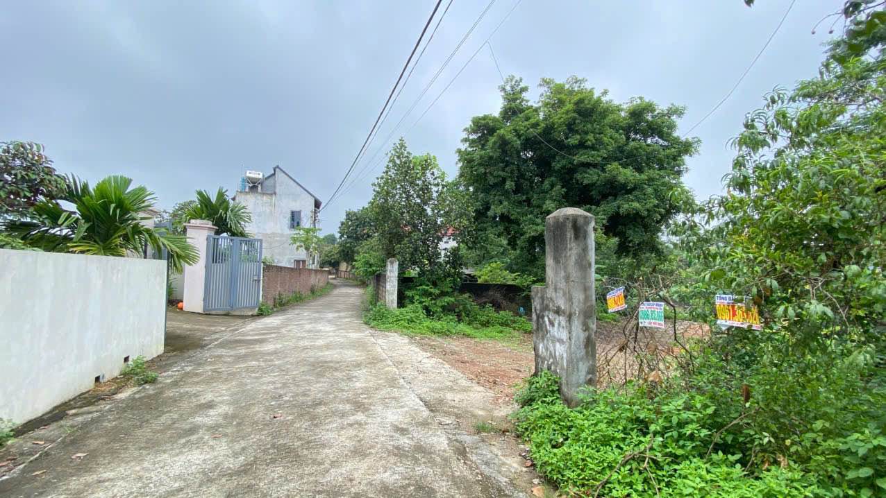 Đất nền 540m² tại thôn 5, Ba Trại, Ba Vì chỉ 2.7 tỷ - Cơ hội đầu tư tuyệt vời!