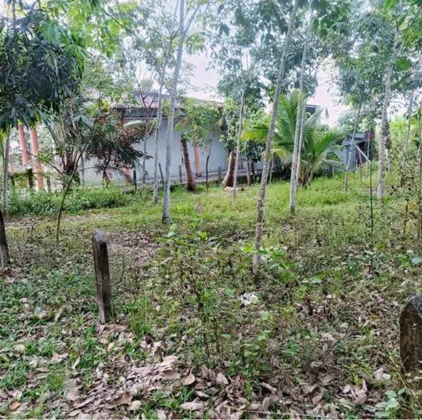 Nhà cấp bốn xã Tân Thạnh Đông, Huyện Củ Chi 6300m² - Giá chỉ 1 tỷ!