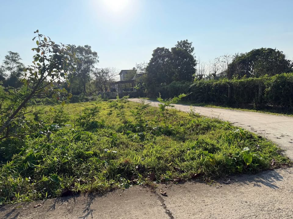 Đất nền thôn Thuận Trạch, xã Mỹ Thủy, 221m² - Khu vực yên bình, gần trường học!