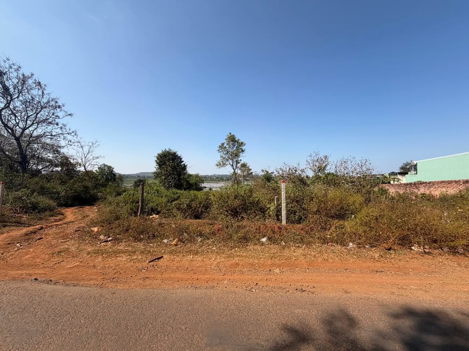 Đất mặt tiền Trương Định, Pleiku 240m² giá 500 triệu - View ruộng cực chill!