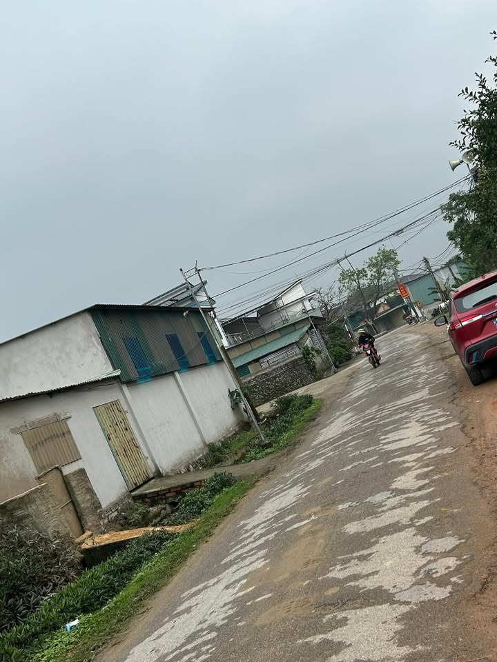 Đất nền kinh doanh đường nhựa Nghi Lâm, 135m² giá 1 tỷ - Đầu tư sinh lời ngay!