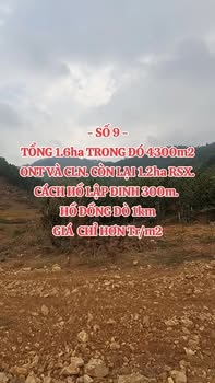 Đất nghỉ dưỡng đẹp tại Flamingo Đại Lải 16.000m² - Giá thỏa thuận hấp dẫn!