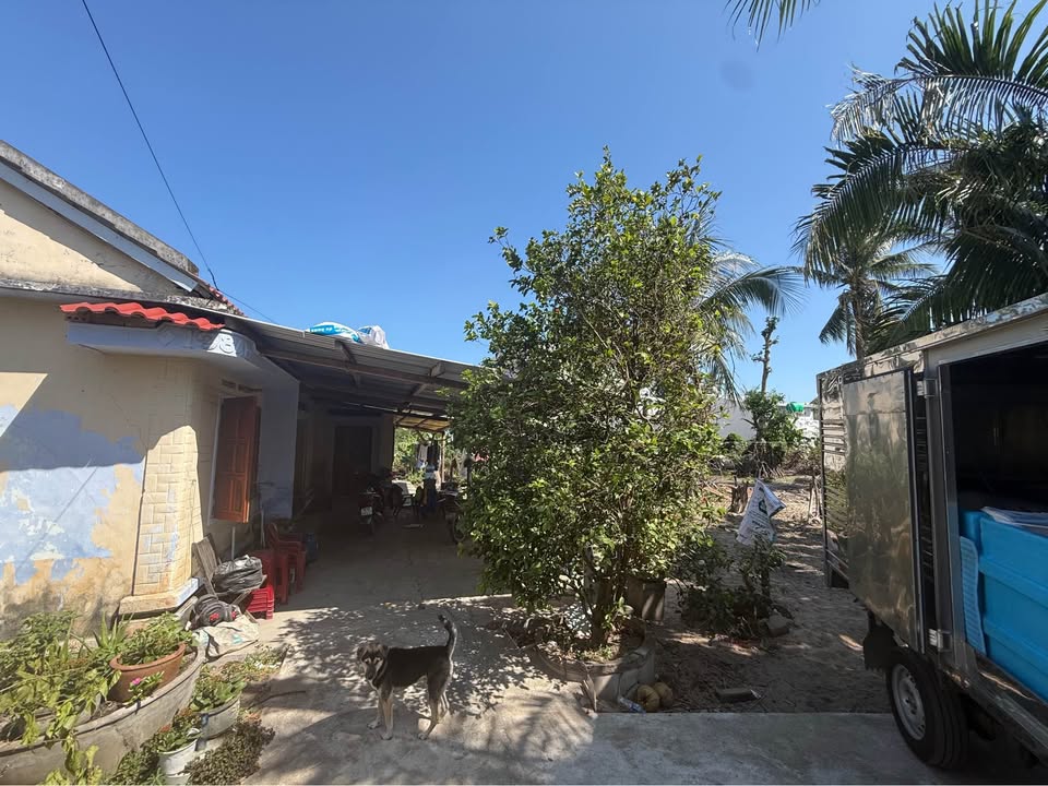 Nhà Phước Lý, Xuân Yên, Sông Cầu 360m² giá 1 tỷ - Chính chủ, tặng thêm đất!