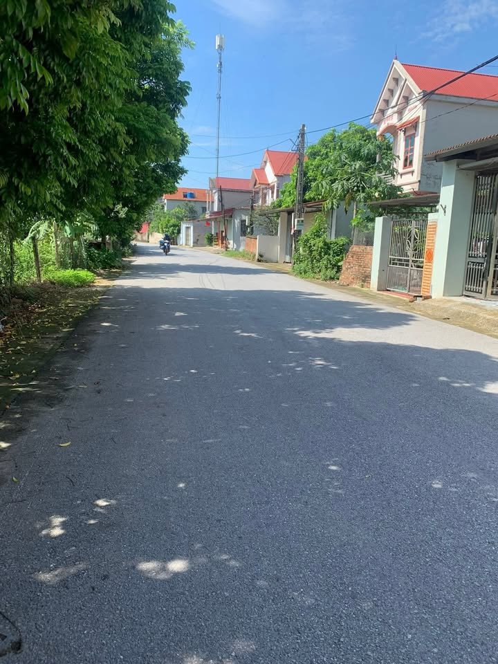 Đất thổ cư Trại Hai, Yên Sơn, Lục Nam 89m² giá chỉ 2 tỷ - Tiềm năng đầu tư lớn!