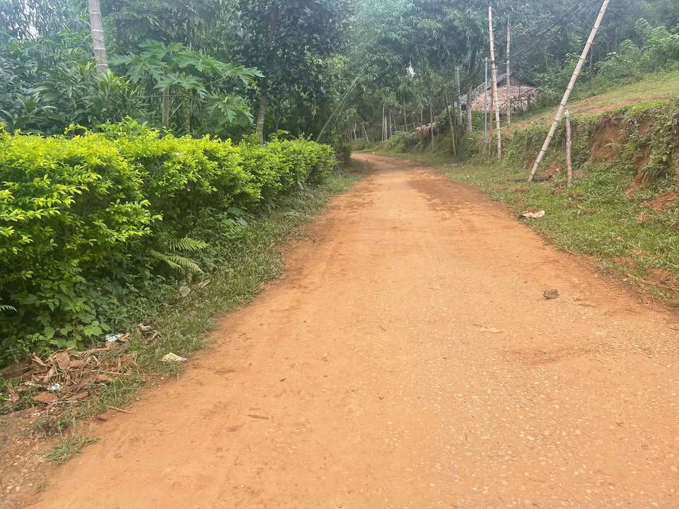 Đất nền chính chủ xã Thúy Sơn, huyện Ngọc Lặc 5000m² giá 1 tỷ - Cơ hội đầu tư tuyệt vời!