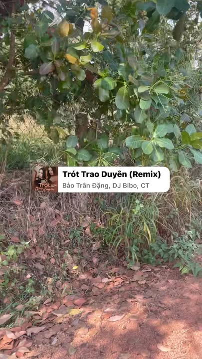 Đất nền Huyện Đồng Phú 20.000m² giá 2.7 tỷ - Cơ hội đầu tư hấp dẫn!