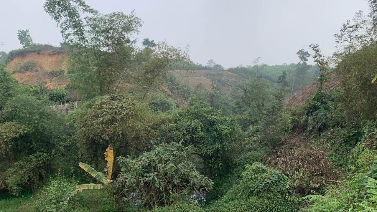 Trang trại thổ cư Tuy Lộc Yên Bái 200m² giá chỉ 1.3 tỷ - Đầu tư sinh lời ngay!