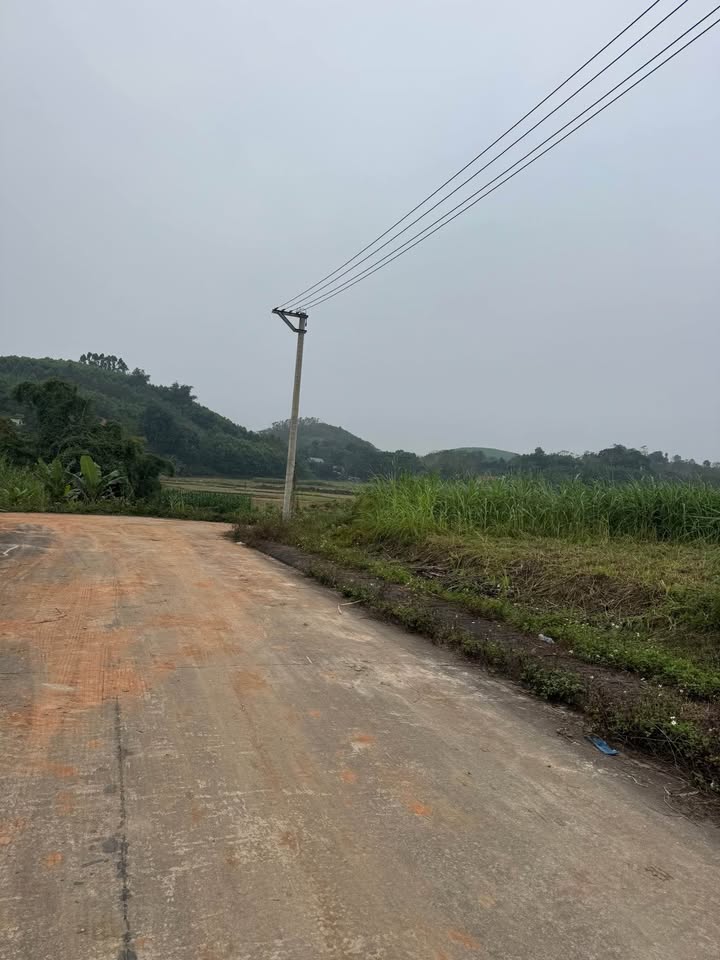 Đất nền Yên Bình 100m² giá 600 triệu - Vị trí trung tâm, đầu tư sinh lời!