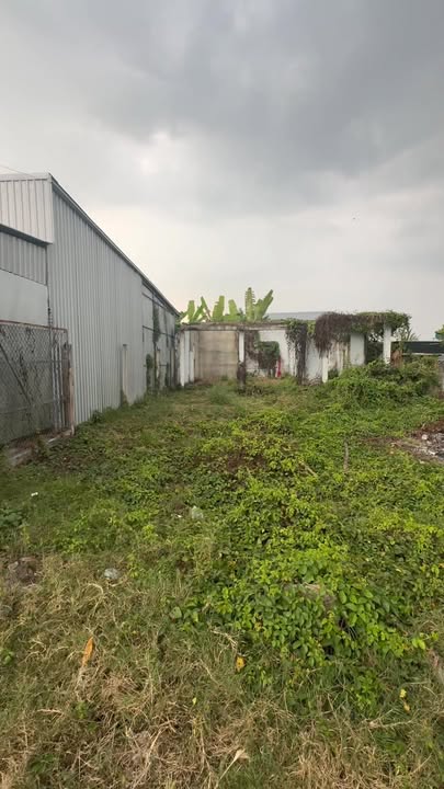 Đất thổ cư 94m² tại Ấp Lộc Trung, Cần Giuộc - Giá chỉ 670 triệu!