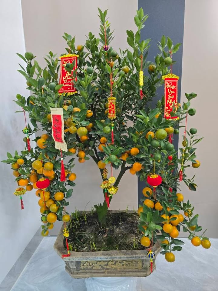 Nhà ở Tân Triều, 35m² giá 6 tỷ - Nội thất cực đẹp, sẵn sàng ở ngay!