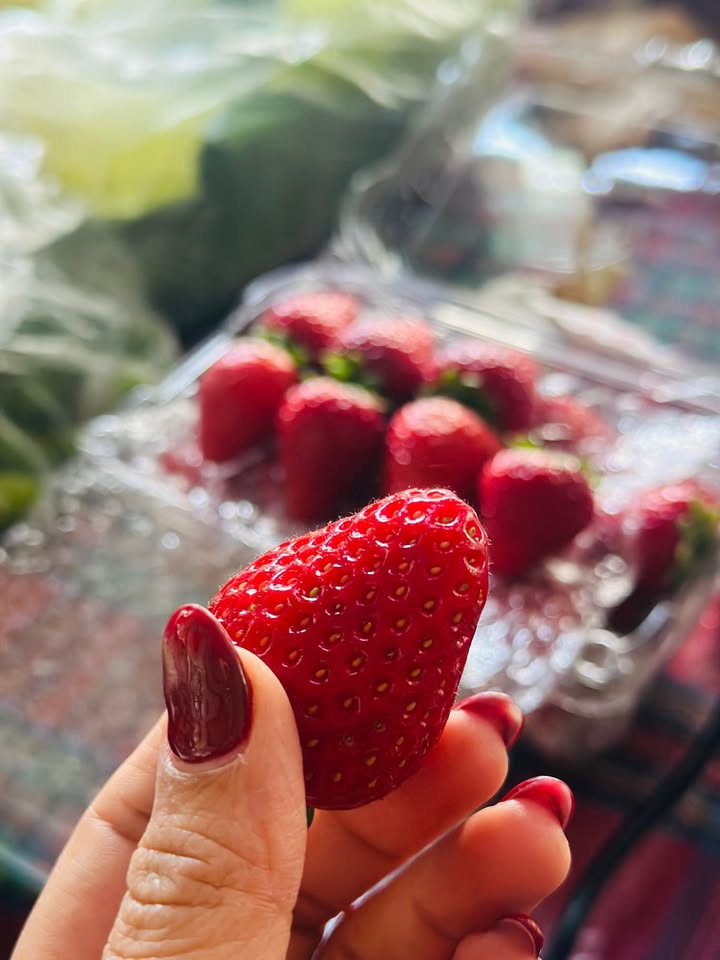 Đất thổ cư Huyện Thạch Thất 8000m² giá chỉ 10 tỷ - Mặt tiền đường 21A rộng rãi