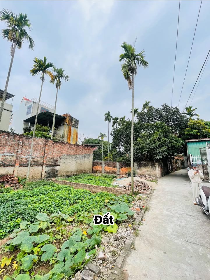 Đất nở hậu 59m² tại Lục Xuân, Võng Xuyên - Đầu tư sinh lời tiềm năng!