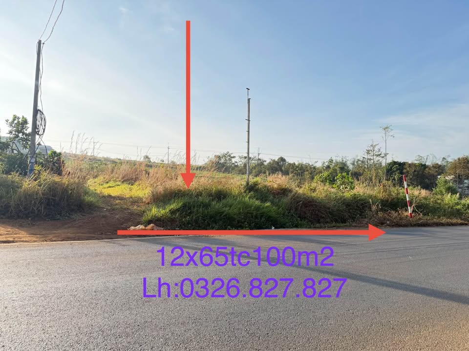 Đất nền mặt tiền đường tránh Võ Nguyên Giáp, Nghĩa Tân 780m² giá 1.5 tỷ - Đầu tư sinh lời hấp dẫn!