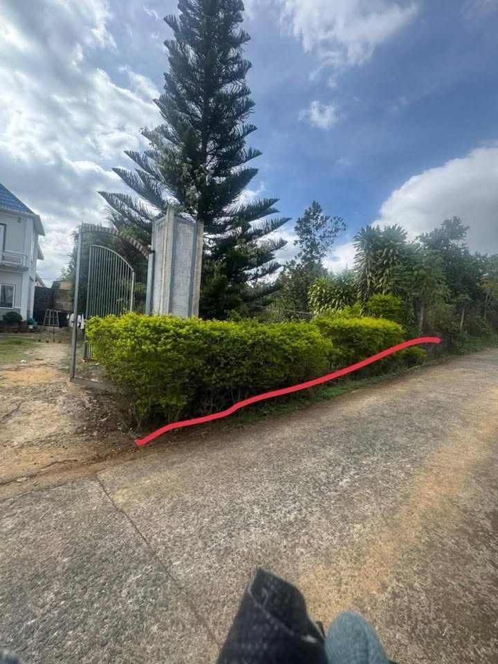 Đất nền 250m² tại Quốc lộ 20, Huyện Đức Trọng - Giá chỉ 1.2 tỷ