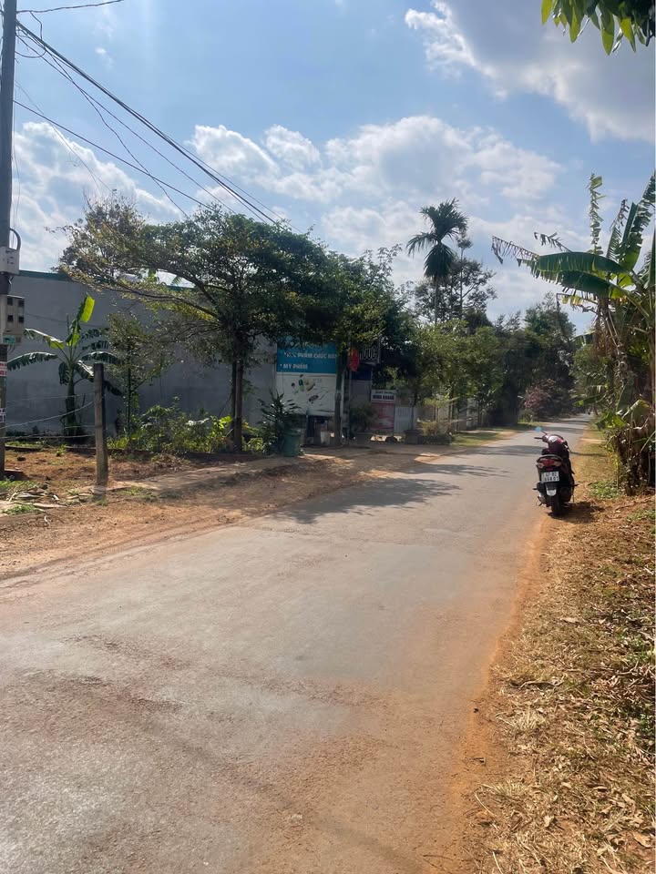 Đất thổ cư 120m² tại Nguyễn Thái Bình, Buôn Ma Thuột - Giá chỉ 1.55 tỷ