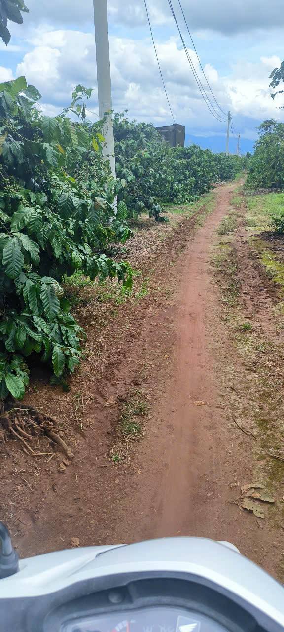 Đất Lộc Tân Bảo Lộc 6400m² giá 6.5 tỷ - Mặt tiền 100m, thương lượng