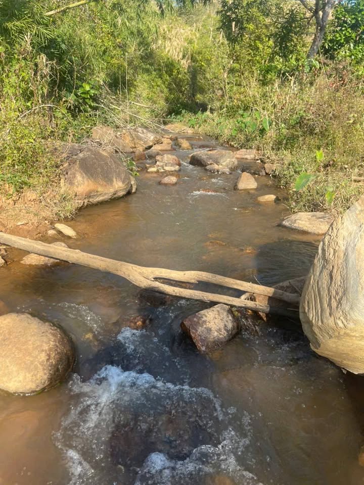 Đất nền 3ha Xã Ngok Réo - Đắk Hà giá thỏa thuận - Đường dễ đi, giáp nước!