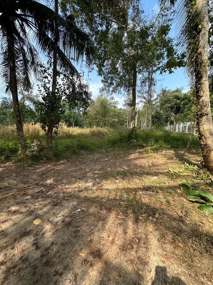 Đất nền 2200m² Chùa Ông Cửa Lấp, Phú Quốc giá 29.7 tỷ - Phù hợp xây bungalow, resort