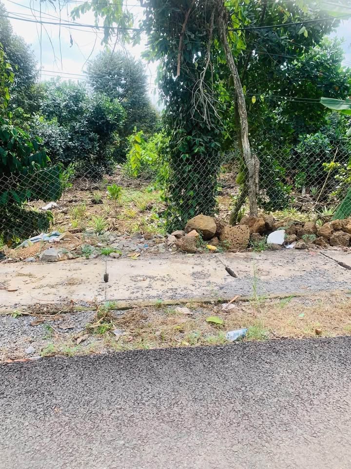 Đất nền liền kề đường nhựa HL120, Phú Tân 215m² giá chỉ 700 triệu - Cơ hội đầu tư hiếm có!