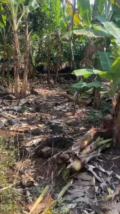 Đất thổ cư 2520m² tại xã Phú Lộc, Tân Phú - Giá chỉ 2.45 tỷ VND