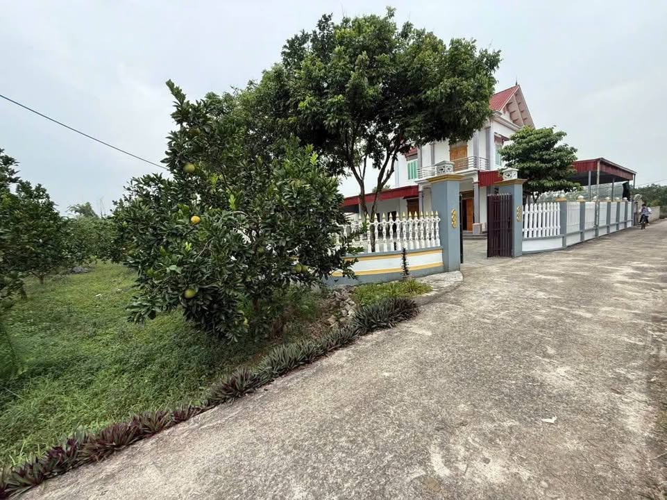 Đất thổ cư 300m² tại Yên Trị, Huyện Yên Thủy - Gần suối trong xanh, giá chỉ 300 triệu!